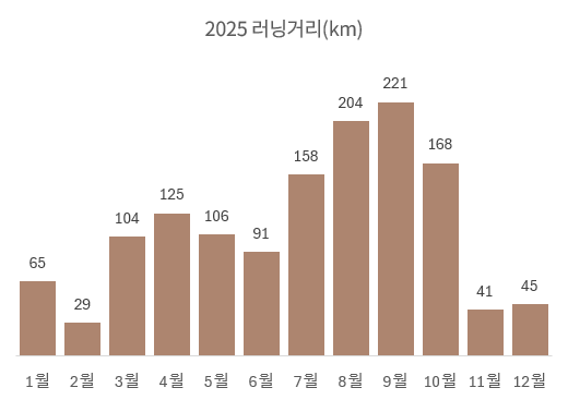 monthly running distance summary