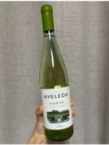 유럽 신혼여행 준비물 체크리스트, 다녀와서 느낀 필수템과 아쉬웠던 것 honeymoon porto greenwine